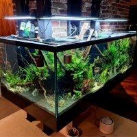 Изработвам сладководни аквариуми по желание и размер на клиента, снимка 3 - Аквариуми - 42346723