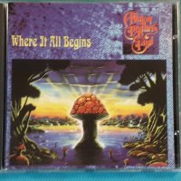 The Allman Brothers Band - 1994 - Where It All Begins(Blues Rock, Southern Rock), снимка 1 - CD дискове - 42757544