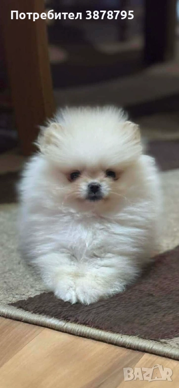 Малко сладко искушение, снимка 1