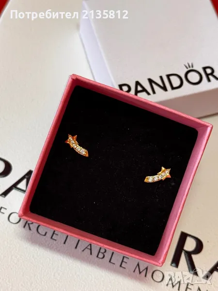 Пандора обеци Pandora , снимка 1