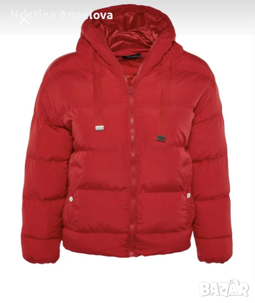 Страхотно зимно яке , снимка 1