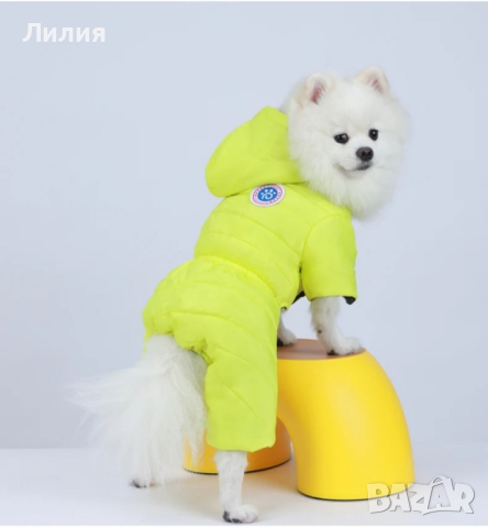 Шушляков гащеризон за куче