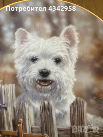 Колекционерска чиния от серия “Westies “., снимка 2 - Антикварни и старинни предмети - 50785628