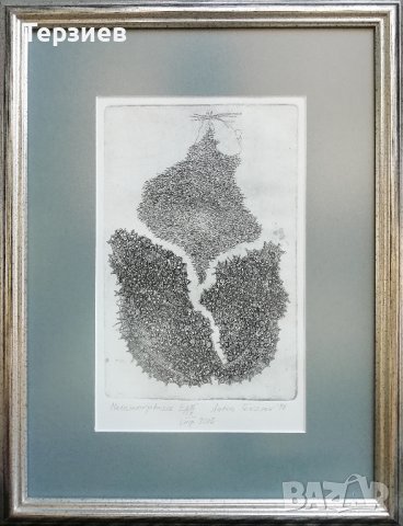 Картина Антон Терзиев, снимка 1