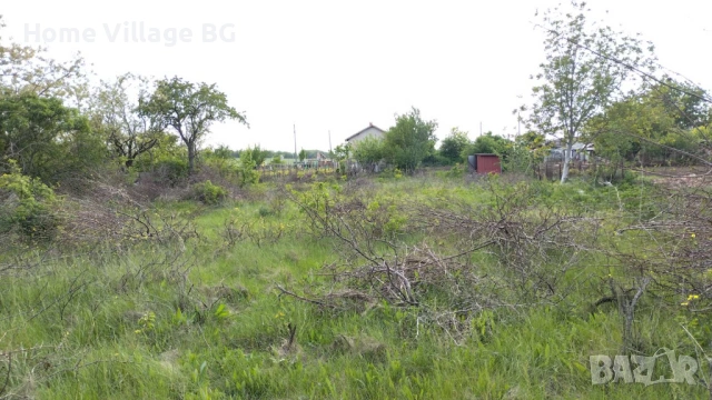 Парцел село Козлодуйци, област Добрич, снимка 2 - Парцели - 53266830