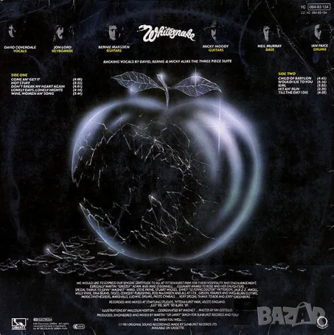 Грамофонни плочи Whitesnake, Scorpions, Supermax, Creedence Clearwater Revival. Цени в обявата, снимка 2 - Грамофонни плочи - 55994587