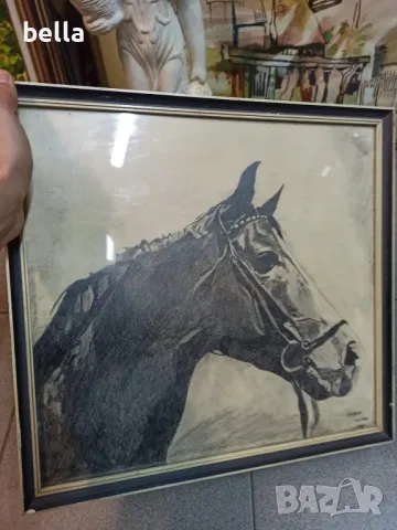 Рамкирана картина рисунка глава на кон 1989, снимка 6 - Картини - 47365713
