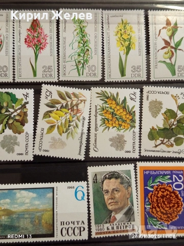 Стари пощенски марки от цял свят смесени ЦВЕТЯ без печат за КОЛЕКЦИЯ 52093, снимка 3 - Филателия - 53228596