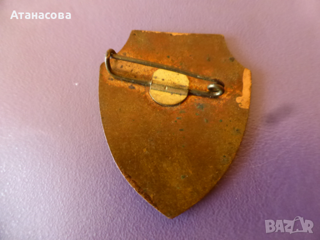 Бронзова значка "Отрядник" с емайл, снимка 2 - Колекции - 44559019