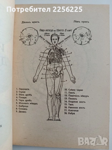 Ирисова диагноза, снимка 5 - Специализирана литература - 54310064