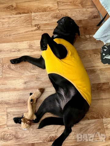 Тениска за голямо куче. Дрехи за големи кучета. Блузка за куче. Кучешки дрехи 3XL 4XL 5XL , снимка 11 - За кучета - 52460208