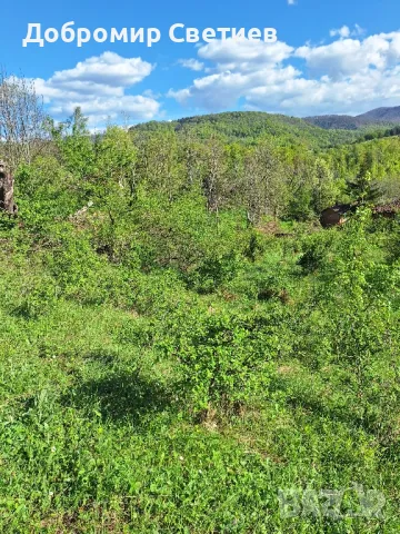 парцел в Еленският балкан , снимка 9 - Парцели - 50342176