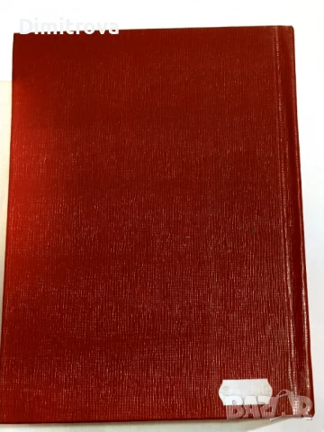 Себе си познай: Главата, лицето, ръката - Петър Дънов, снимка 2 - Езотерика - 51321851