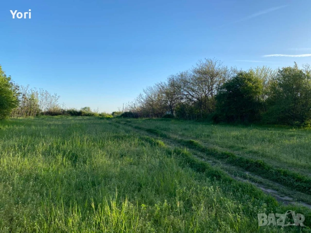 Продава се двор в гр.Козлодуй, снимка 7 - Парцели - 54331540