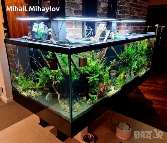 Изработвам сладководни аквариуми по желание и размер на клиента, снимка 3 - Аквариуми - 42346723