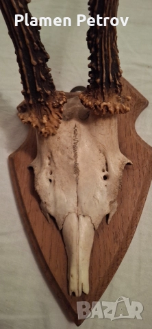 Кулие +гривна и ваза и роги , снимка 13 - Гривни - 27173851