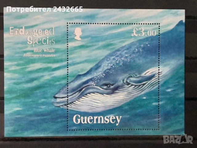 269. Гърнси 2011 = “ Фауна. Застрашени видове: Син Кит”,**,MNH 