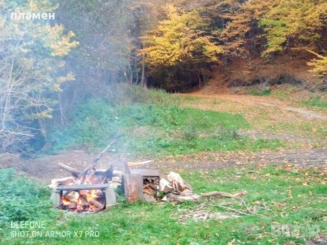 Вила стопанска постройка и земеделска земя, снимка 16 - Земеделска земя - 43182204