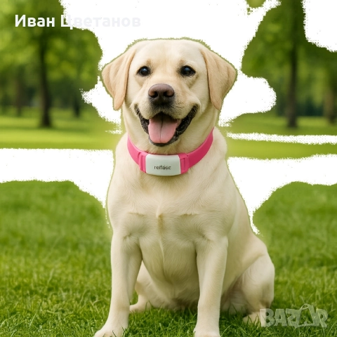 Тракер за домашен любимец - GPS локатор