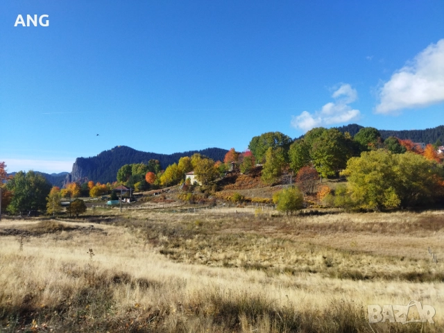 Продава парцел в Смолянски езера , снимка 10 - Парцели - 52178672