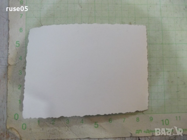 Снимка на група туристи пред метеорологична станция, снимка 2 - Колекции - 52019673