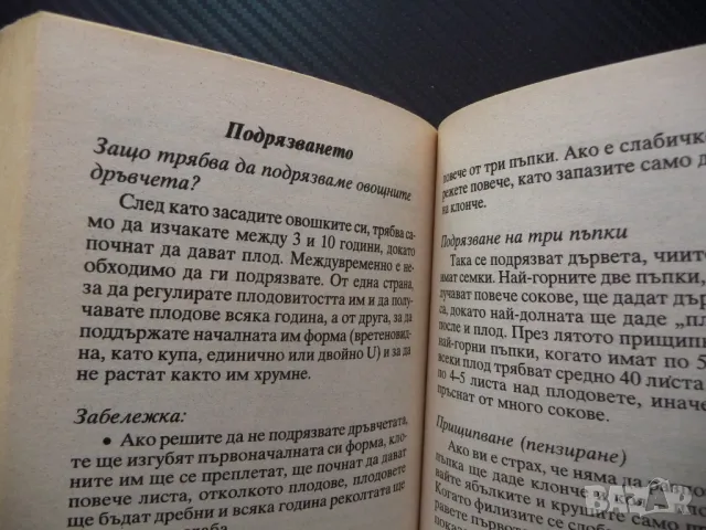 Чудодейни съвети за балкони, тераси, градини бонсаи орхидеи градина, снимка 3 - Други - 48758955