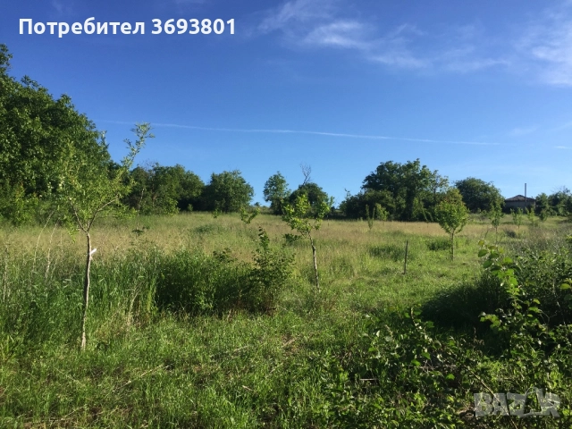 Продавам парцел с кладенец, снимка 3 - Парцели - 51957525