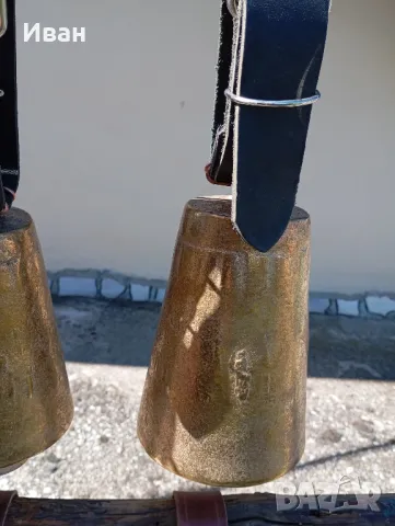 чанове Звънци 