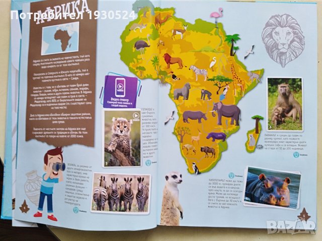 Колекционерски албум на Билла, снимка 3 - Колекции - 31797251