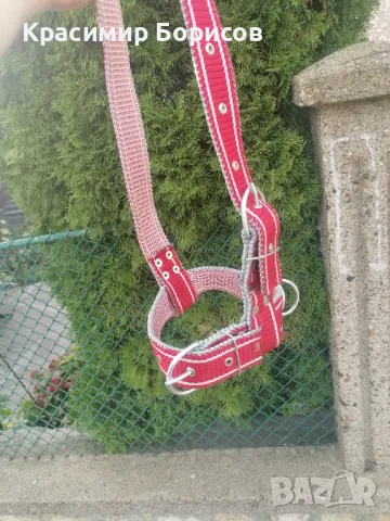 юлар капистра оглавник за крава, снимка 3 - Крави - 47711374