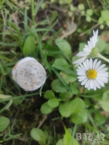 Кремъ Леда , снимка 5 - Други ценни предмети - 50022515