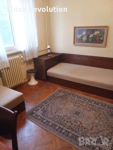 Стая под наем в Мараша, снимка 4 - Стаи под наем - 54043845