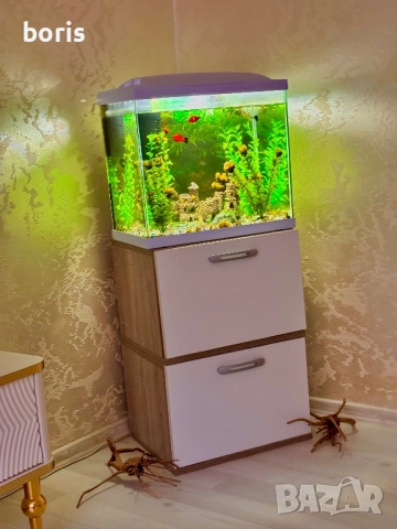 Аквариум 60 литра + шкафчето и рибките, снимка 2 - Аквариуми - 52593333