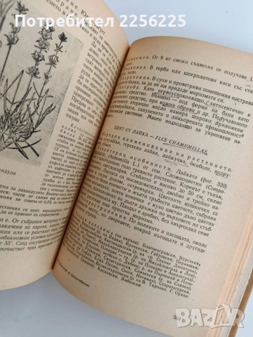 Ръководство по билкосъбиране, снимка 5 - Специализирана литература - 53878244