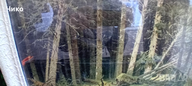 Голяма картина добре рамкирана и остъклена, снимка 3 - Картини - 51809834