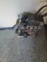 Двигател за Шевролет авео 1.2 84к.с., снимка 3