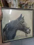 Рамкирана картина рисунка глава на кон 1989, снимка 6