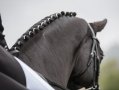  Топли седла за понита и коне Kavalkade, снимка 1 - Стоки за селкостопански - 39882798