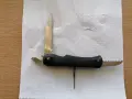 Голяма джобна ножка, снимка 3