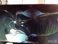 TOSHIBA 32E2533D ; NEO LED-4018 FHD ; Philips 43PUS6554/12 ; Samsung UE40D5003BW, снимка 7