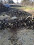 Дърва за огрев "Акация", снимка 3