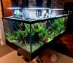 Изработвам сладководни аквариуми по желание и размер на клиента, снимка 3