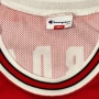 1995 Champion Chicago Bulls Jordan #45 NBA Jersey, снимка 4
