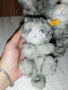 Steiff колекционерски немски играчки, снимка 6