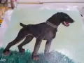 Моят любим шнауцер, снимка 3
