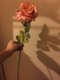 Изкуствена роза 66 см, снимка 1 - Декорация за дома - 31144854