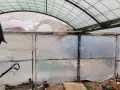 двоен парник 7х7 с плъзгащи врати, снимка 2