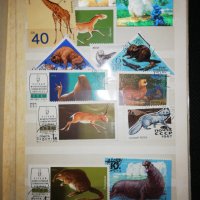 Колекция пощенски марки , снимка 5 - Филателия - 29386589