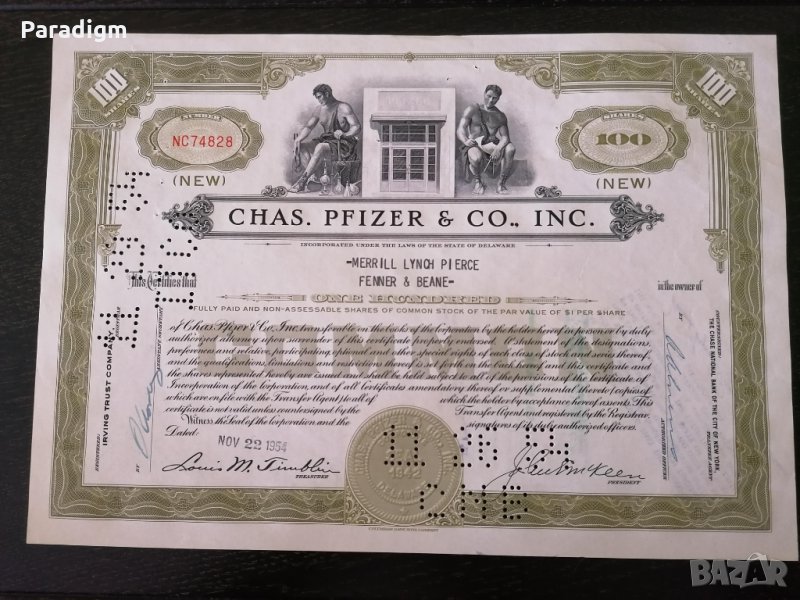 Сертификат за притежание на 100 акции (САЩ) | Chas. Pfizer & Co. Inc. | 1954г., снимка 1