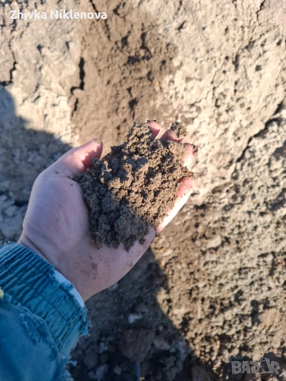 Хумус, снимка 1